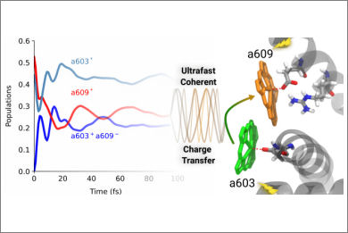 charge-transfer-lhca4