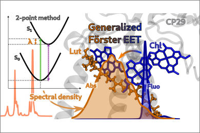 computational-model-excitation-energy-transfer