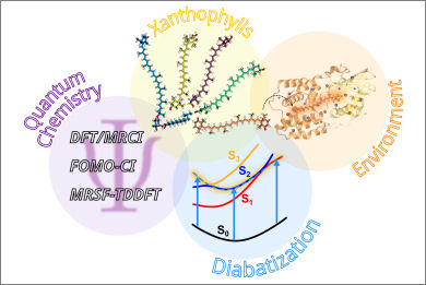 new-representation-to-learn-electronic-density-matrices