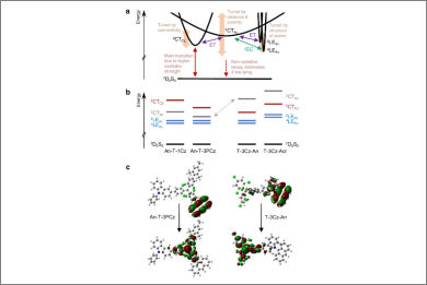 coulombic-control-charge-transfer-radicals