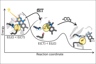 fatty acid photodecarboxylase