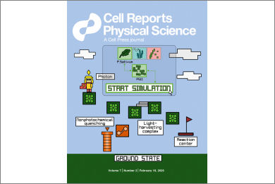 front-cover-cell-reports-physical-science