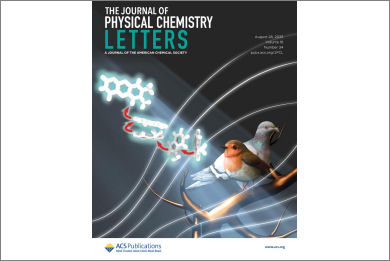 front-cover-j-phys-chem-lett