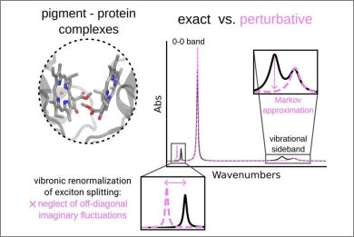 lineshape-lh-antennae
