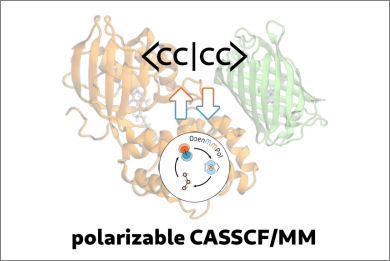 polarizable-casscf-mm-implementation